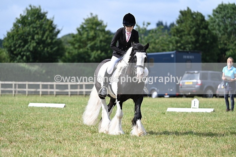 WJ7_2231 - Time 09:24 to 09:49