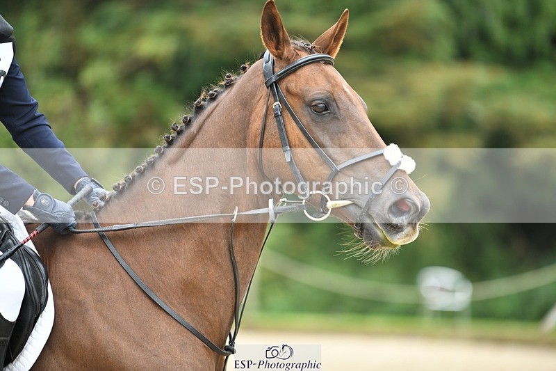 230827-110607-23399 - SJ 10 to 11.30 coursewalk