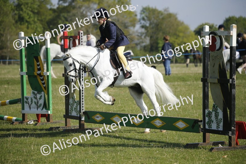 20250427-0293 - Class 12 - Rookie Jumping 40cm