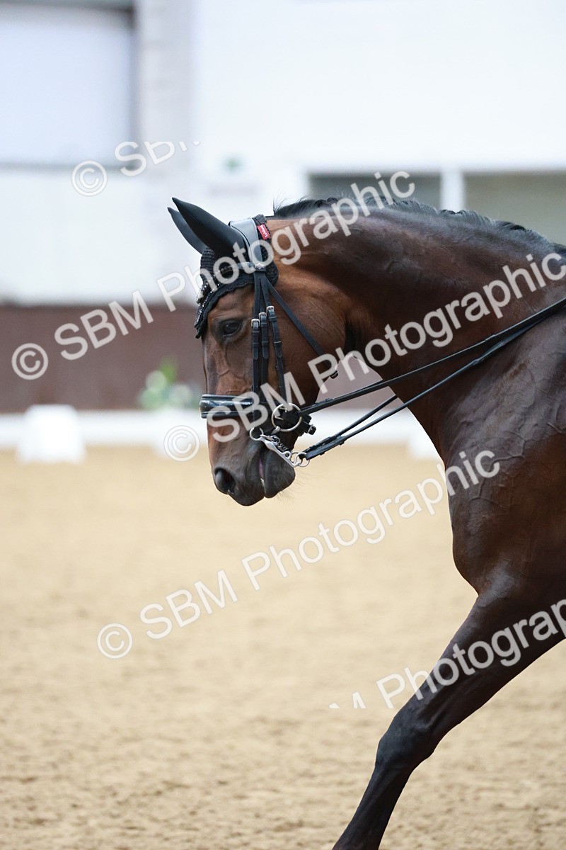 SBM_009739 - Class 13 - FEI PSG - 11.06-12.34