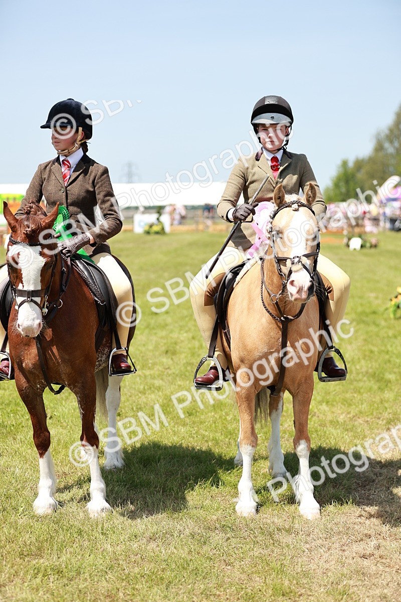 SBM_15729 - Class 108-109 - BSPS LIHS Open Gradle & Nursery Stakes
