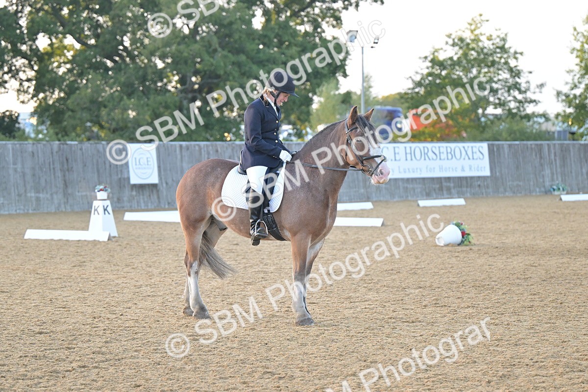 SBM_13558 - D3 - Small Tour Championship Intro 3