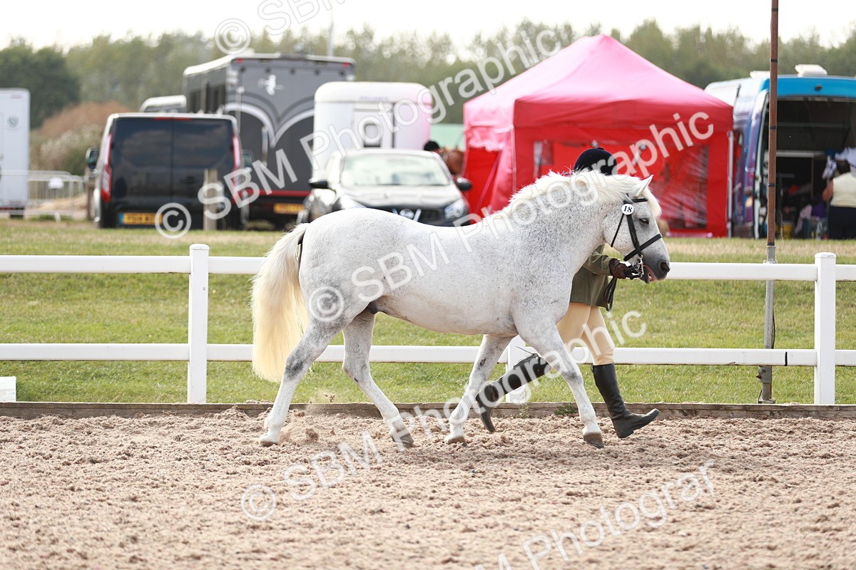 SBM_13852 - Class 209 IH Veteran Pony