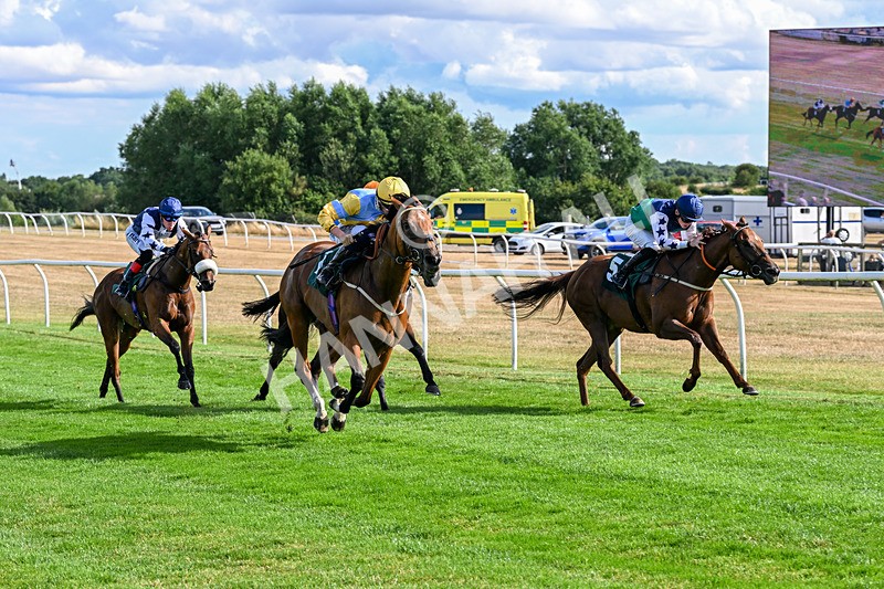 040826-Race 6-Without Flaw-5652 - Race 6 16.45pm Racing Again 17th August Handicap