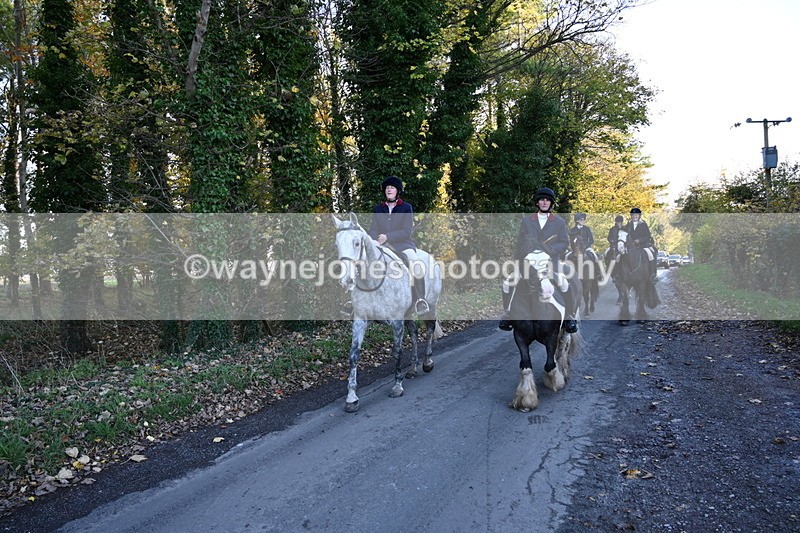 WJ6_9787 - Walk Home