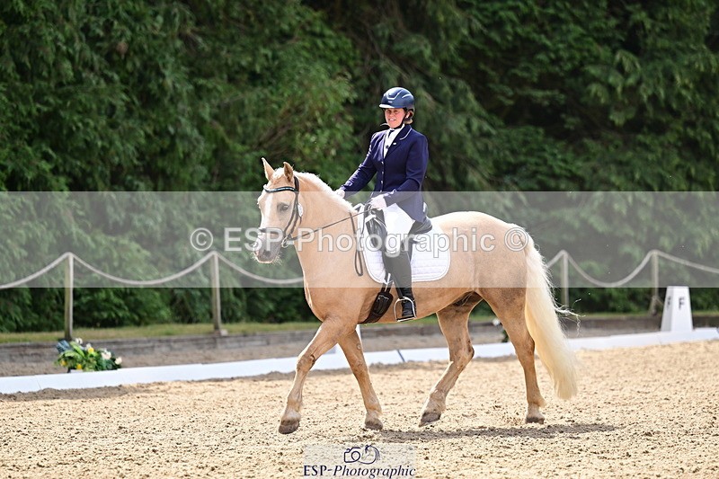 260802A-111147-05729 - Novice Silver break - break