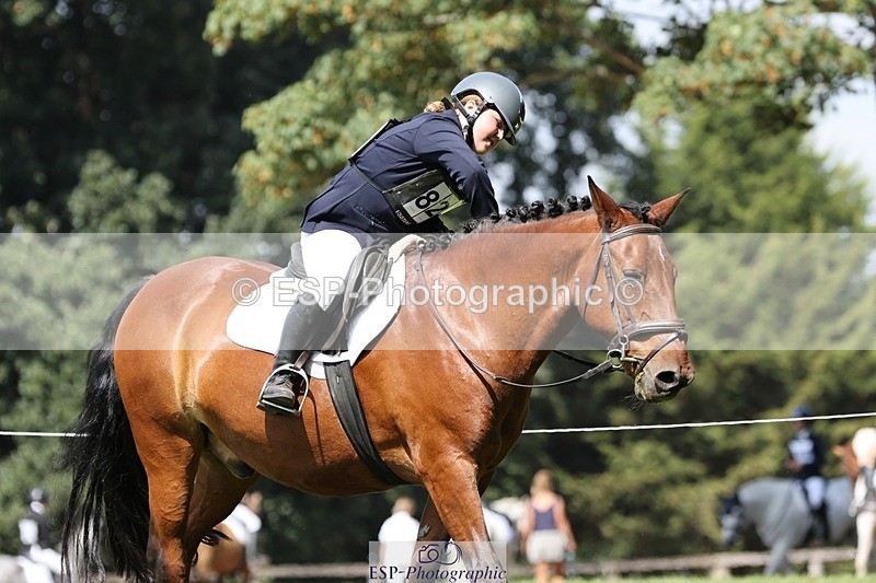 250823A-124730-29593 - Arena D