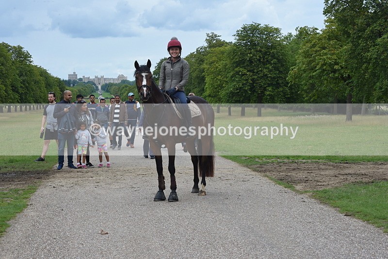 TT3_0104 - Time at Crossing 13:17 to 14:48