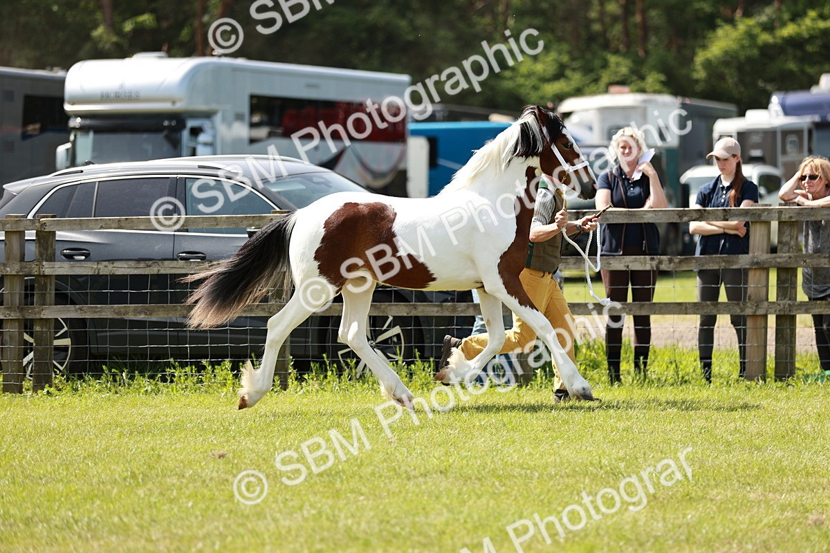 SBM_04129 - Class 39-40 - BSPA Coloured In Hand
