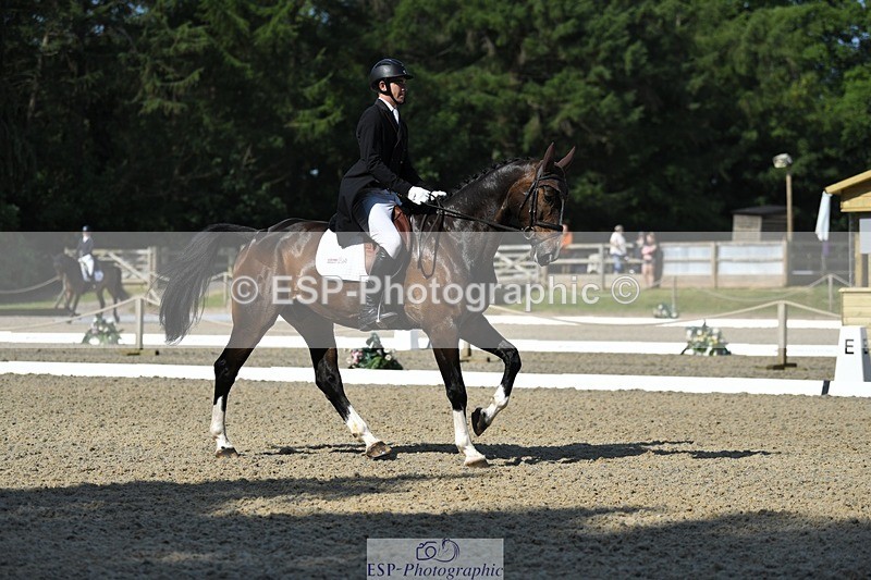 230525-093816-01636 - 307-PENHILLS_CANDY_MAN-Max_Warburton-WEDTrotUp+DR