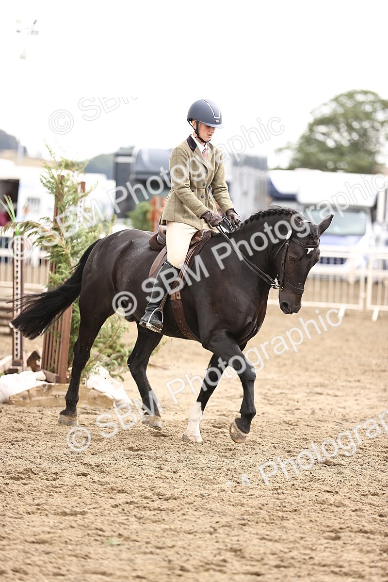 SBM_00653 - Class 53 - Ridden Competition Horse Pony