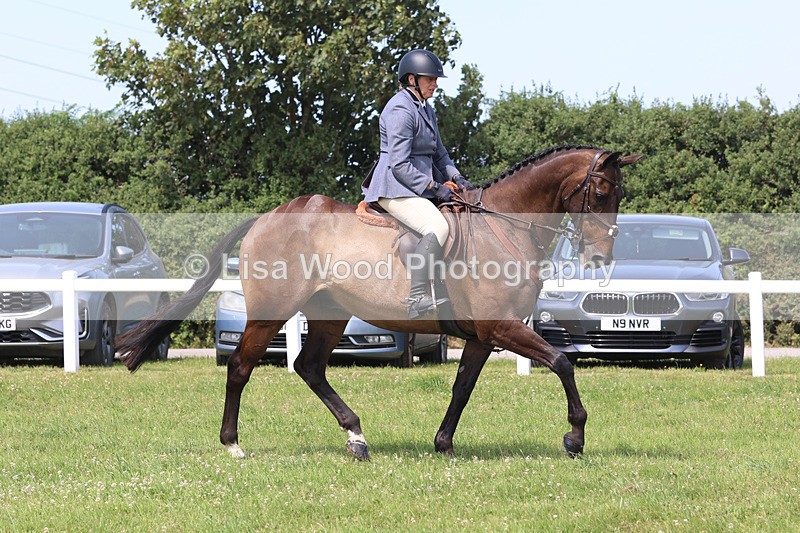JPP_3229 - Class 22: Working Hunter 70cm
