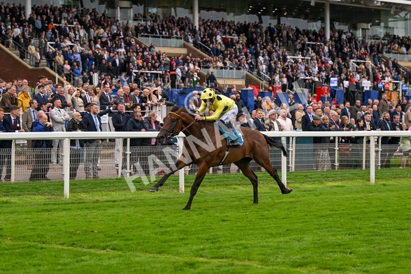 120724-Race 5-Sisyphean-6272 - Race 5 4.20pm George Blades Memorial Handicap