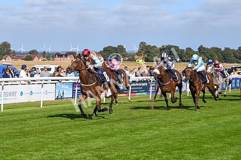 180924-Race 4-Surprised-4481 - Race 4