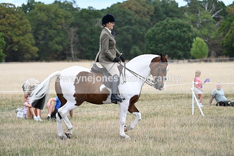 WJ7_4859 - Class 12 Ridden Cob