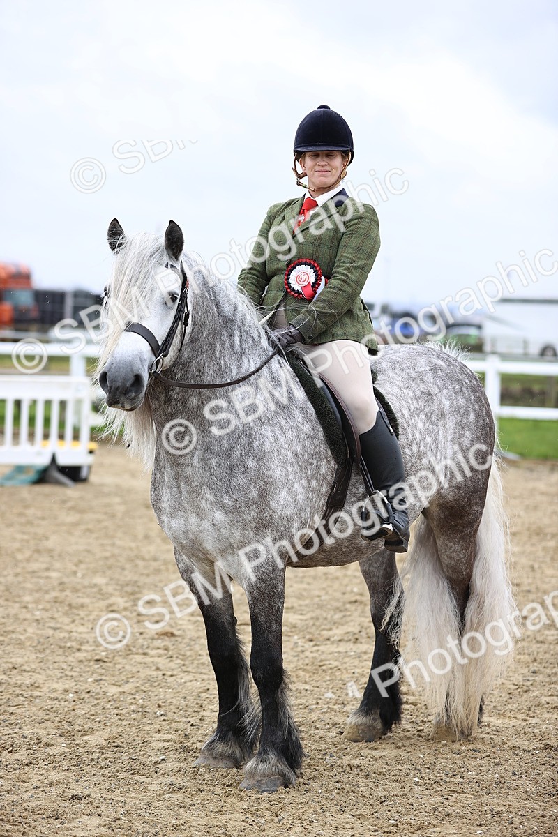 SBM_007607 - Class 31-32 - M&M Confined Novice Small-Large