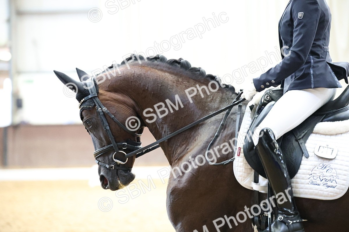 SBM_002145 - Class 5 - Novice 6 Gold - 9.00-10.10