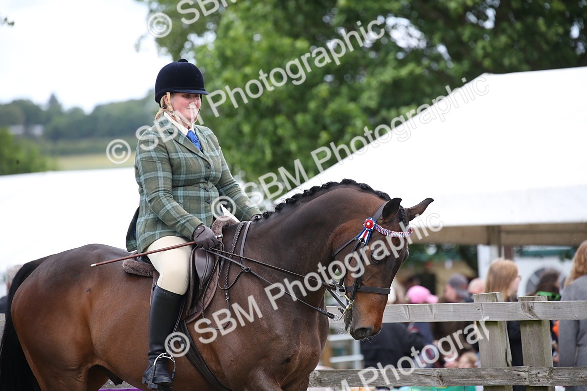SBM_14134 - Class 113-114 - Retraining of Racehorses Ridden