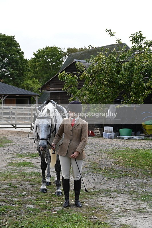 WJ6_3113 - Berks & Bucks - The Old farmhouse - Hound Exercise 20-08-25
