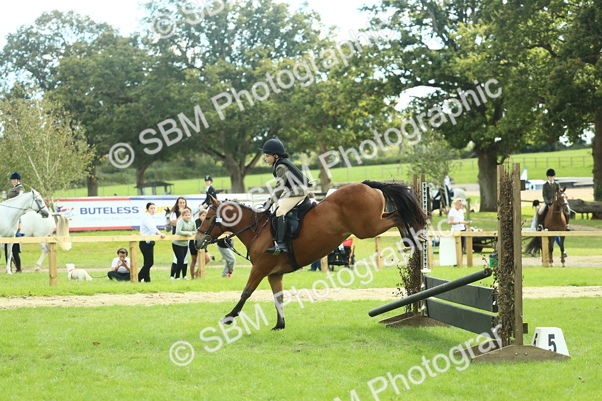 SBM_44614 - S31 - Working Hunter Pony