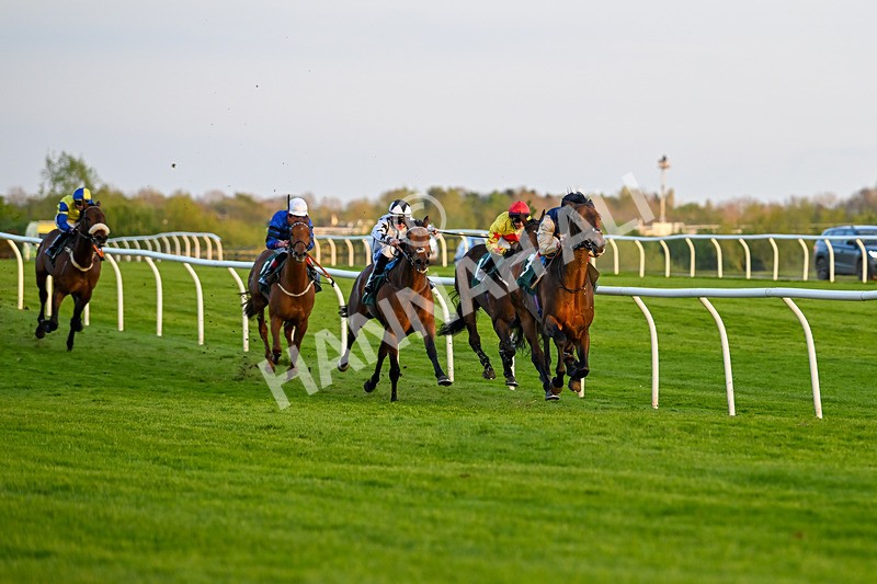 300424-Race 6-Kodi Lion-3065 - Race 6