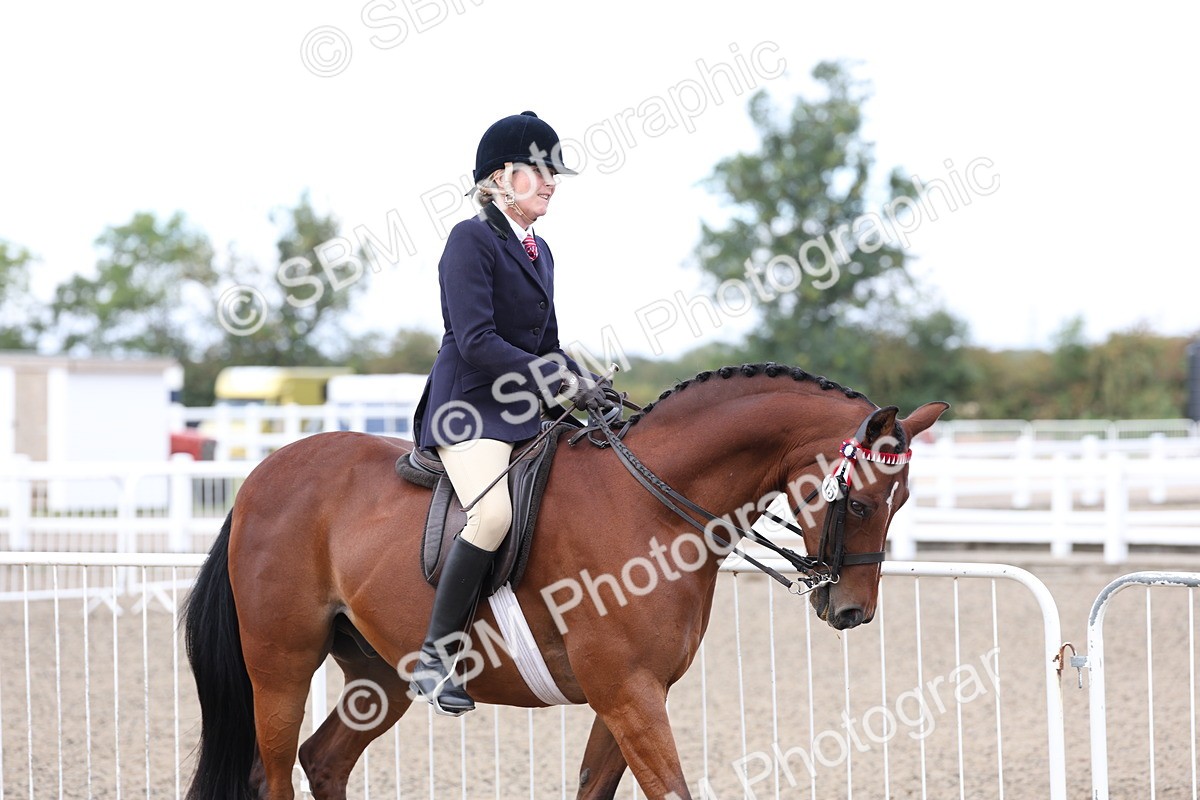 SBM_01463 - Class 52 - Ridden Veteran