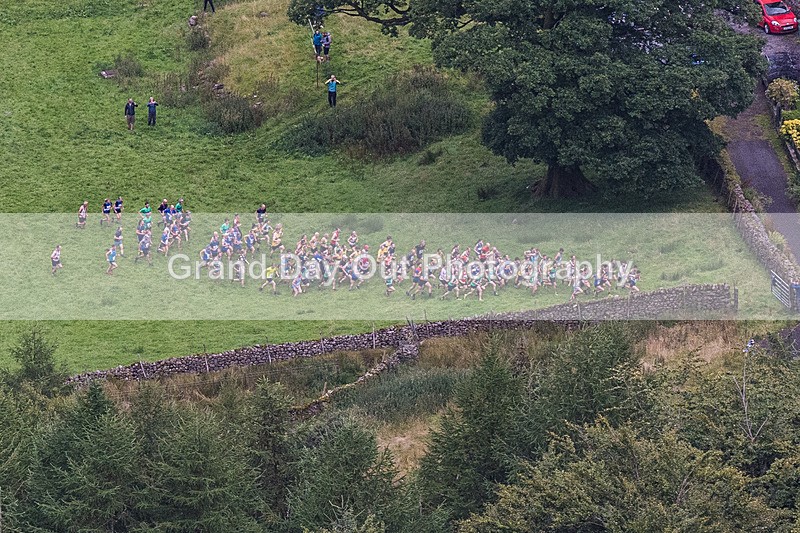Steel Fell-12 - Steel Fell Race Wednesday 7th August 2024