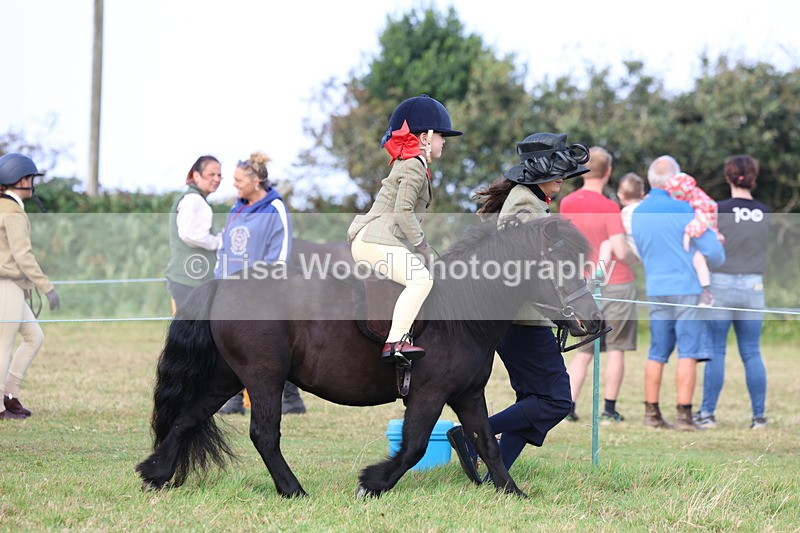 3E7A3518 - Class 2: Lead rein