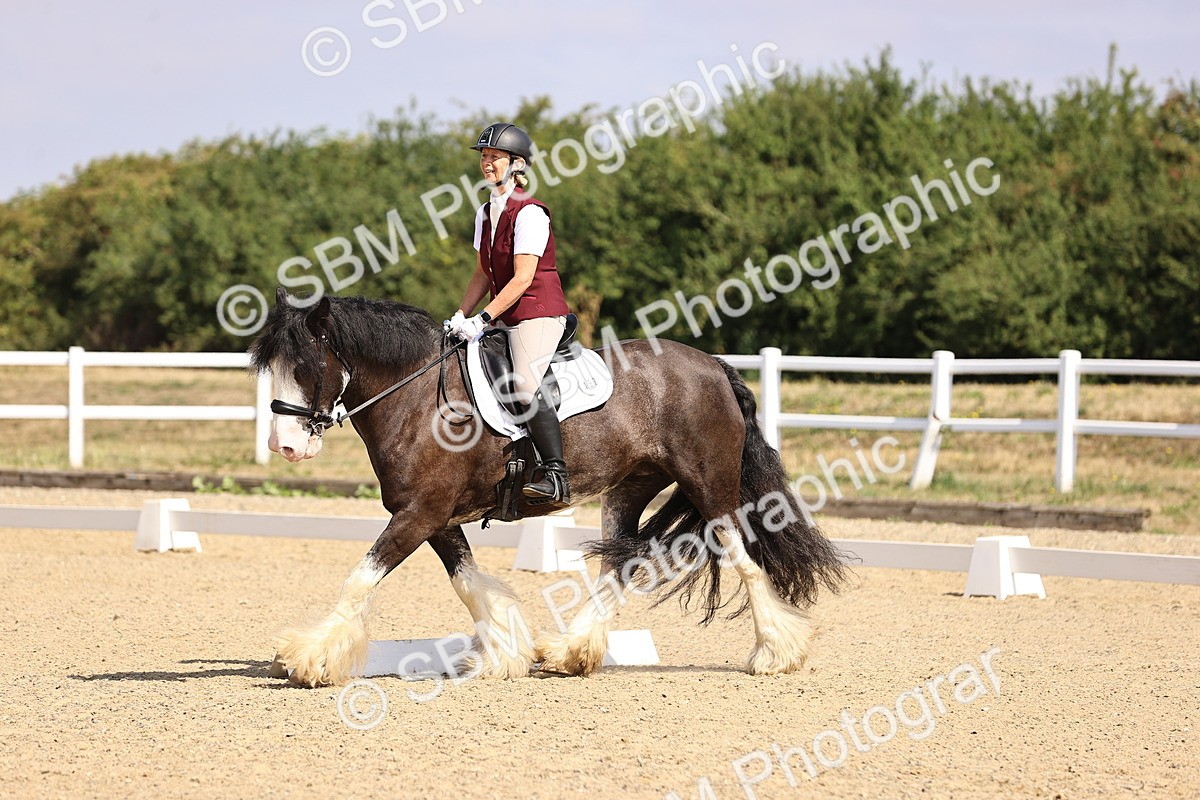 SBM_006491 - Intro 3 - 9.46-10.46