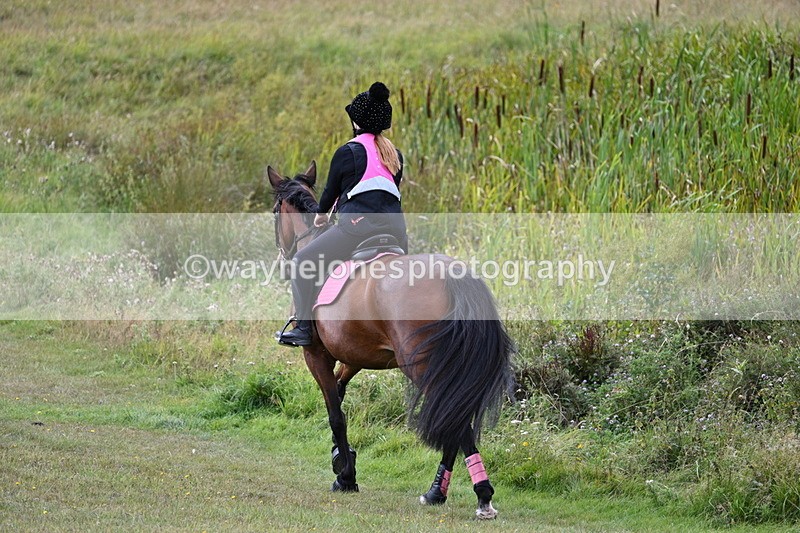 WJ7_6086 - Time 11:50 to 12:09