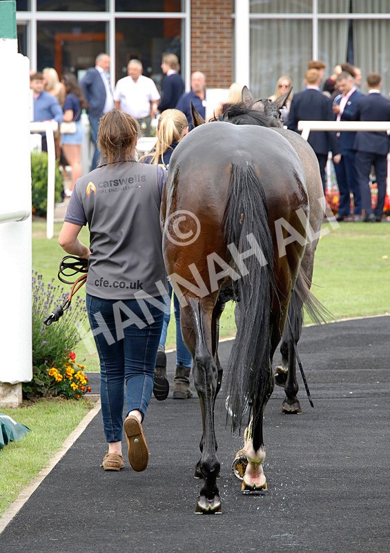 250725-Race 2-Go Victor-88143 - Race 2