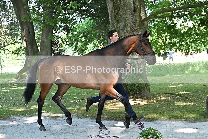 250521A-154147-00698 - B-351-Will.Rawlin-MACKENZY