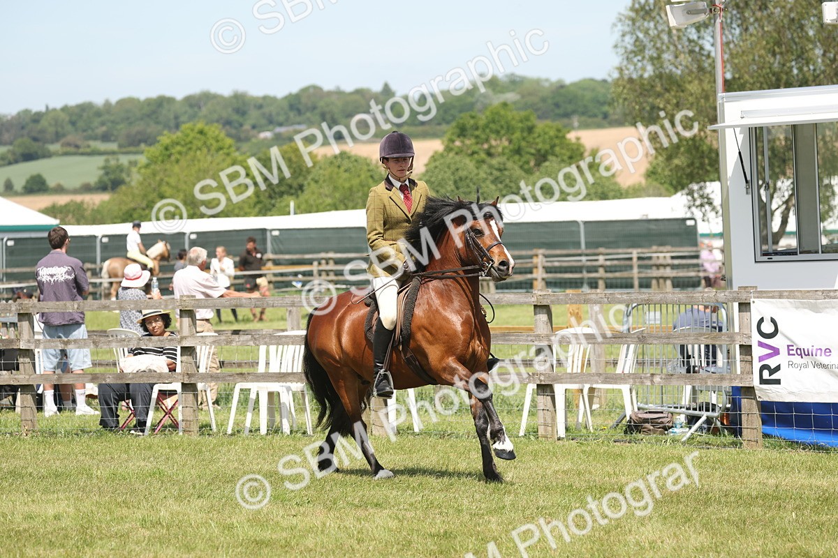SBM_06910 - Class 26-30 - Mountain and Moorland Ridden