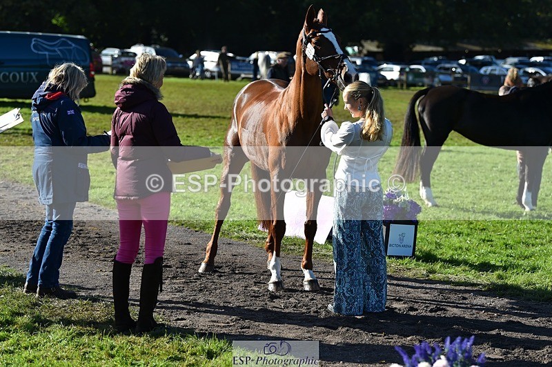 231022-111440-23833 - 564-JANA.DE.CAVAIGNAC-Rosie.Kendall-TrotUp+SJ