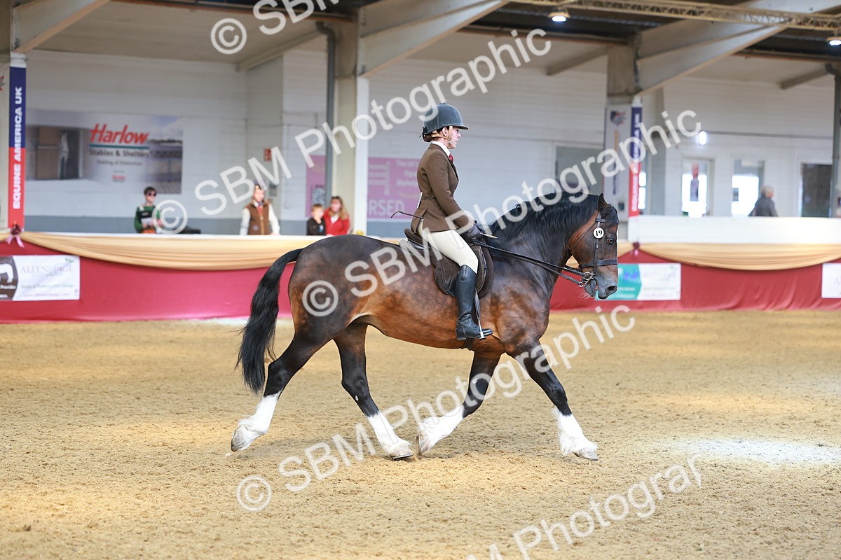 SBM_12593 - Class 103 - HOYS Veteran Qualifier - Ridden Pre Vet