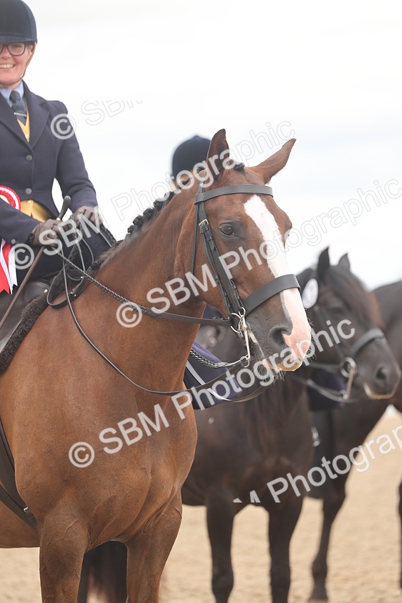 SBM_06384 - Class 22 - SSA - Equitation