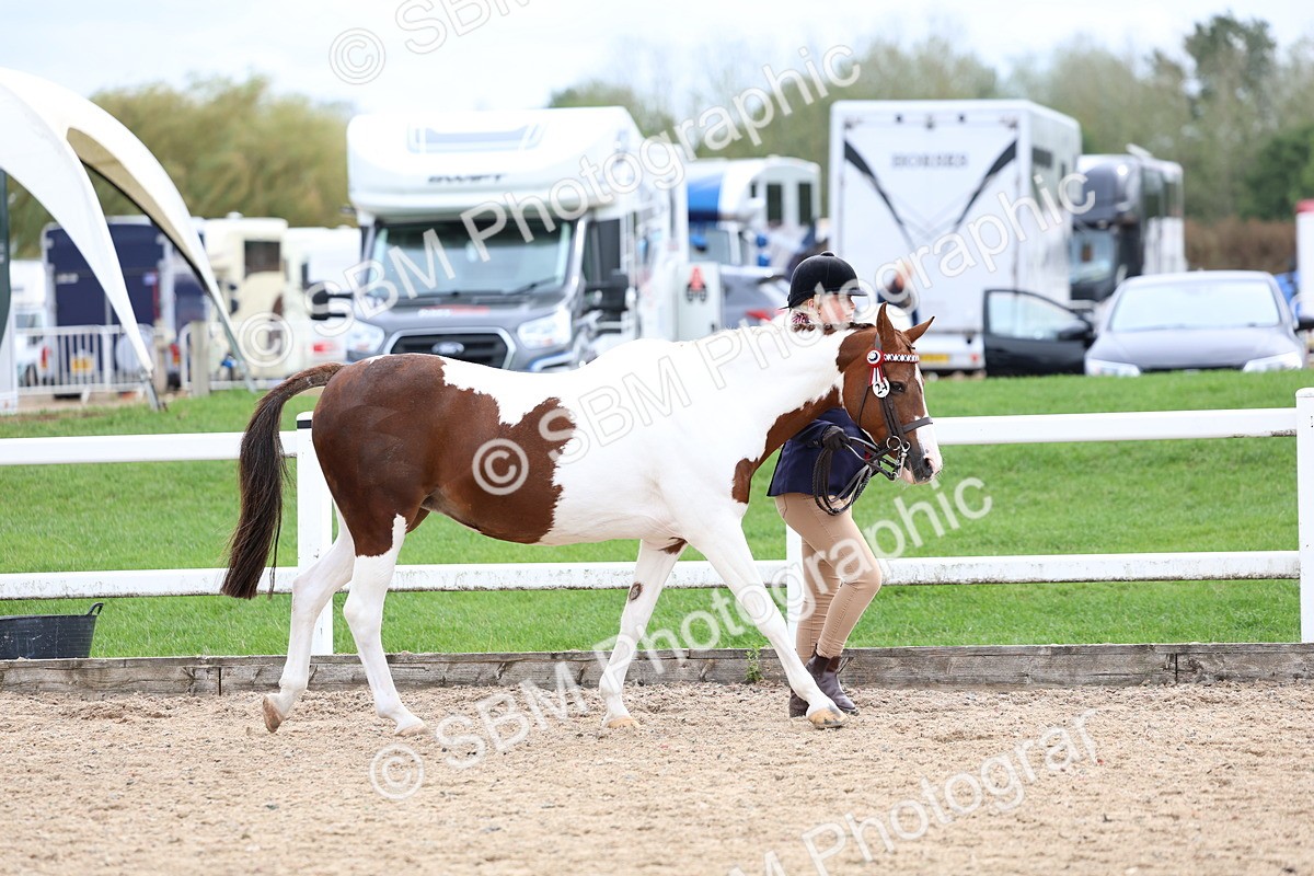 SBM_05815 - Class 29 - IH Veteran Pony