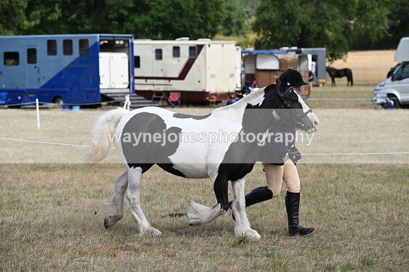 WJ6_6487 - Class 20 In-hand Cob