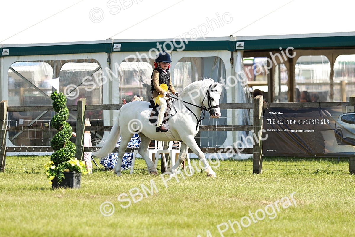 SBM_12843 - Class 106-107 - BSPS LIHS Working Sports Pony