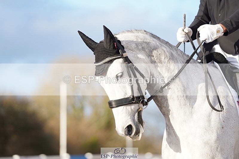 241214-151042-02113 - 154-Joe.Roome-SJL.King