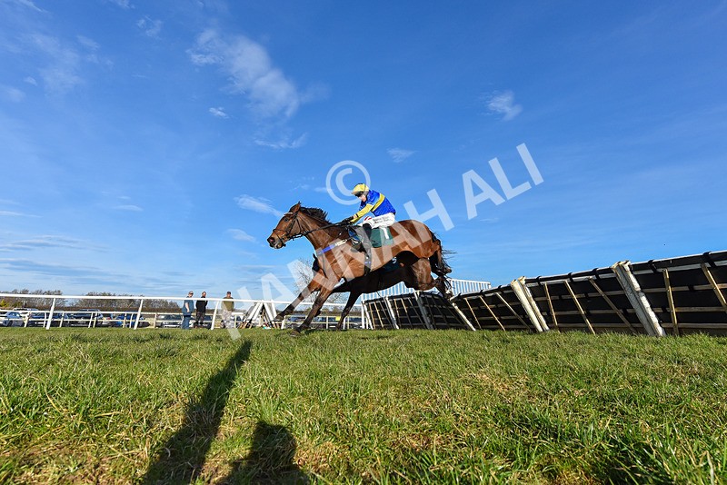 050325-Race 4-Hostile Hotelier-0997 - Race 4