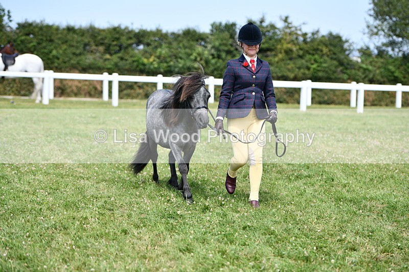 DSC_8158 - Class 67: Child Handler 11 - 16 years