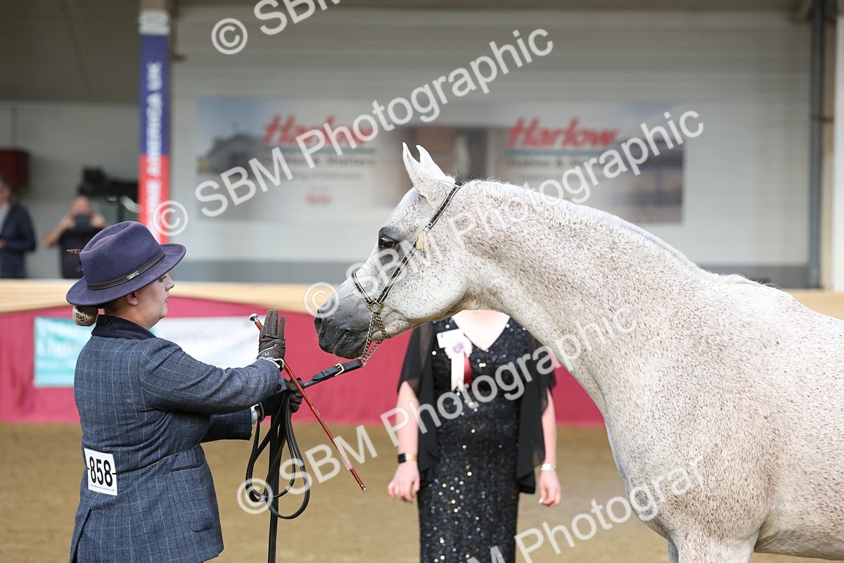 SBM_22481 - Class 902 - Supreme Final - IH Diamond