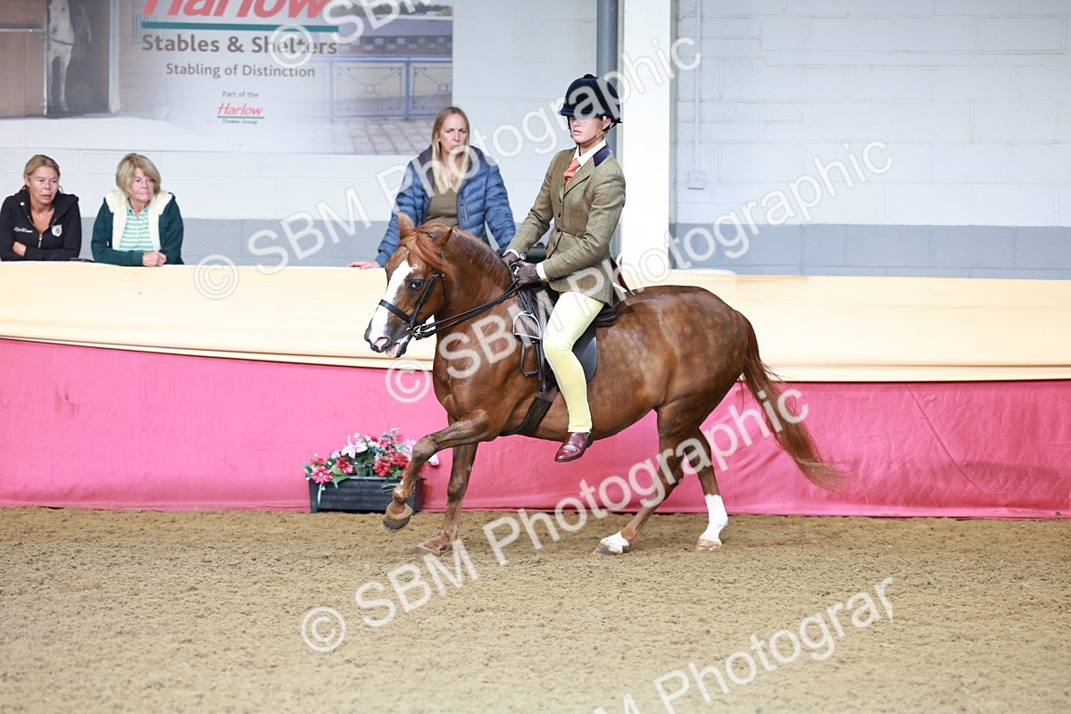 SBM_11912 - Class 102 - Equitation (Best Rider) Adult