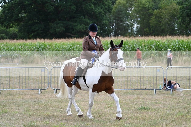 WJ7_5675 - Class 12 Ridden Cob