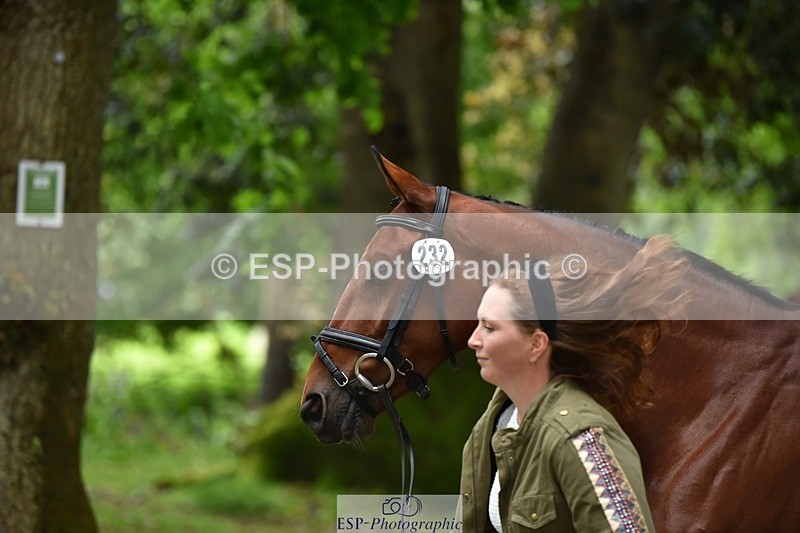 240522-165930-01307 - 232-MAYFAIR_TN-Susie_Berry