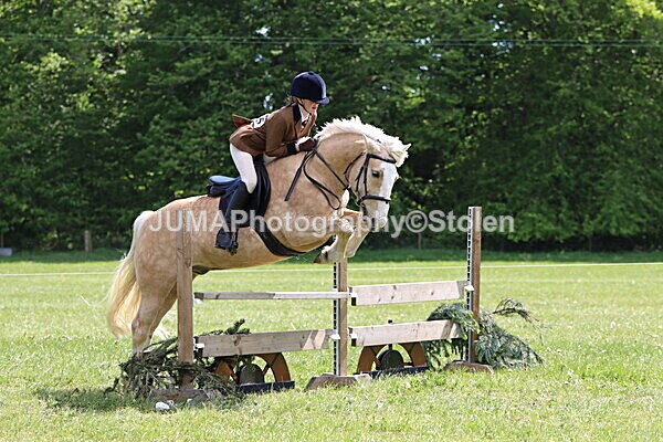 IMG_4267 - Working Hunter