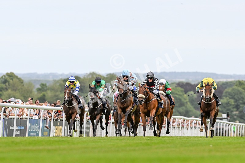 140824-Race 3-King Sharja-3507 - Race 3