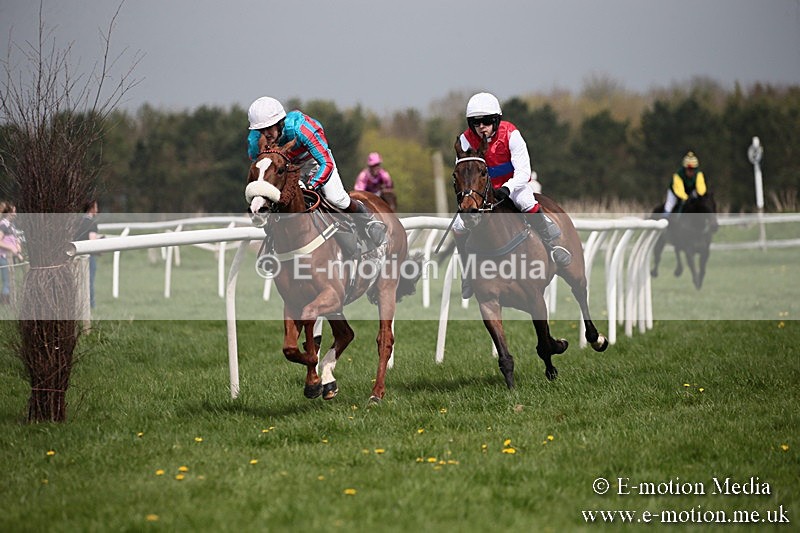 PtP 210418 13 - South & West Wilts Point-to-Point Larkhill 21/04/18