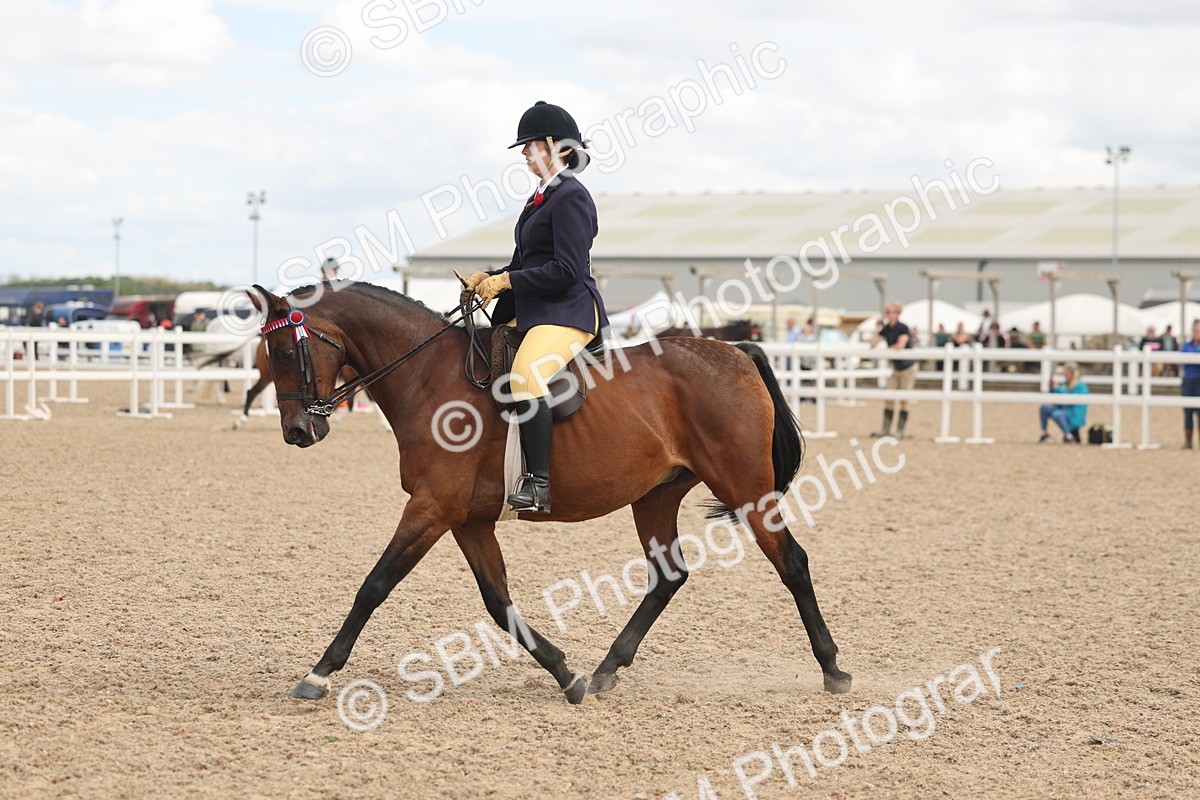 SBM_15996 - Class 311 - Ridden Show pony-Show hunter Pony